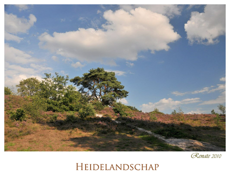 Heidelandschap