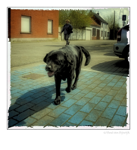 Doel 19 --walking the dog--