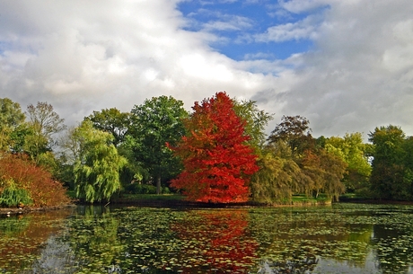 Herfstkleuren