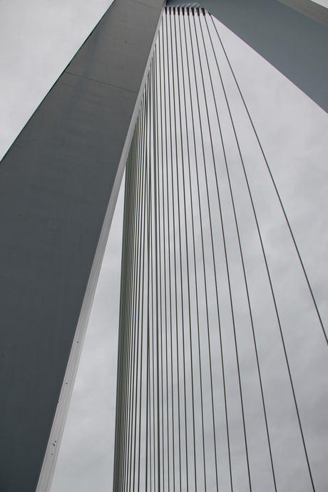 20101006_STEDEN Rotterdam Erasmusbrug_HCS0010.jpg