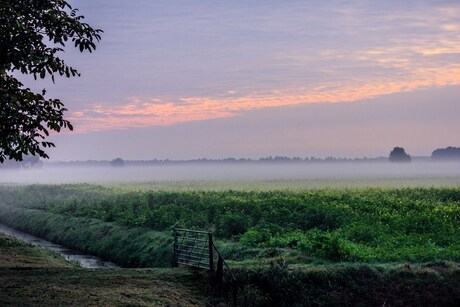 Buitenland van Rhoon