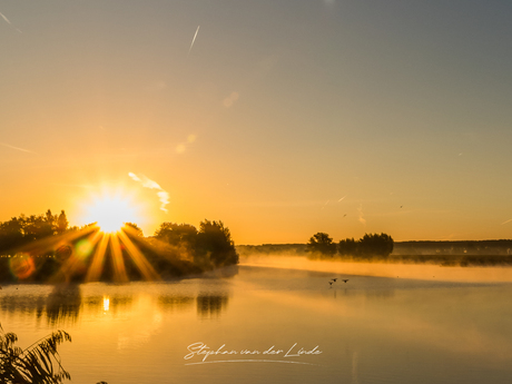 Landende vogels bij zonsopkomst