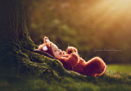 Cutest little red fox