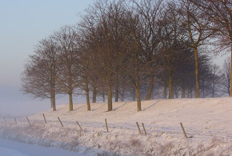 DSC03714vlek links.JPGmistige winter