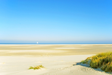 Ameland