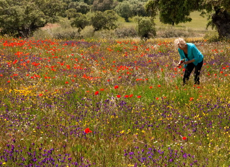 Mensen houden van bloemen