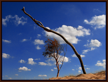 Lonely In Blue.....