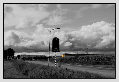 Trein uit maisveld B&W