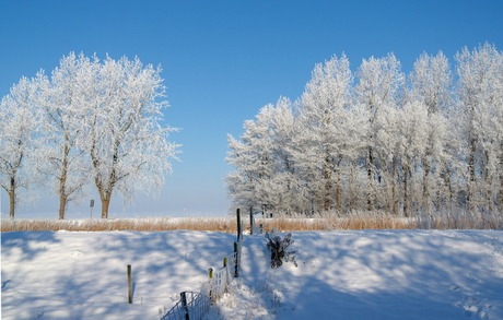 Winter in Schagen 1.jpg