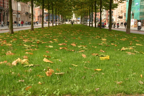 Park in herfststemming