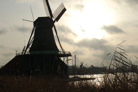 Molen bij Zaanse Schans