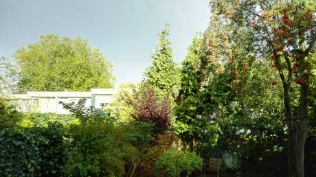 Late zon in de achtertuin