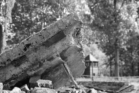 Auschwitz-Birkenau