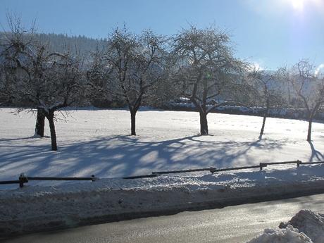 sauerland 2010