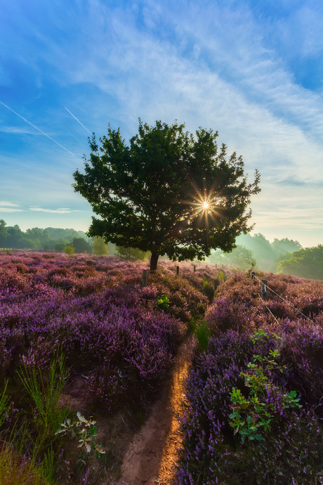 Posbank - Nederland