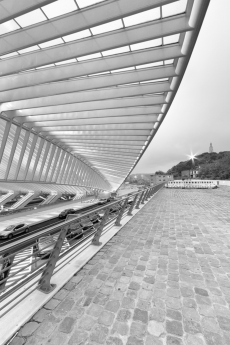 Guillemins1.jpg