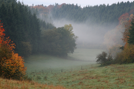 Reifferscheid, Eifel