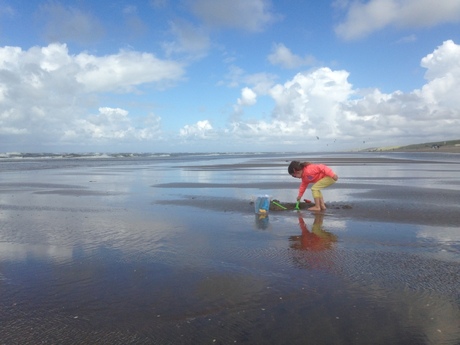 Bouwen in de branding