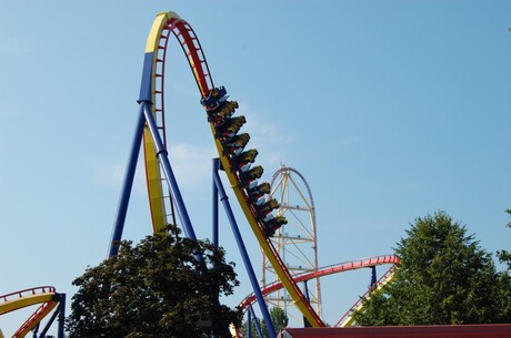 Mantis @ cedar point