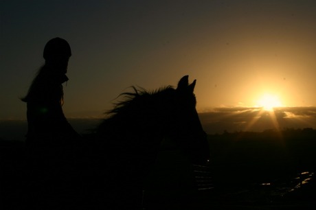 Zonsondergang paard & ruiter
