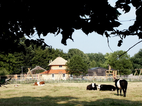 Kinderboerderij Presikhaaf