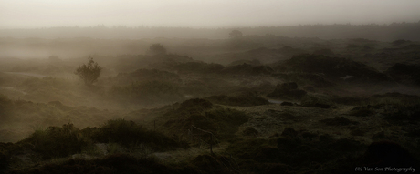 Terschelling 2