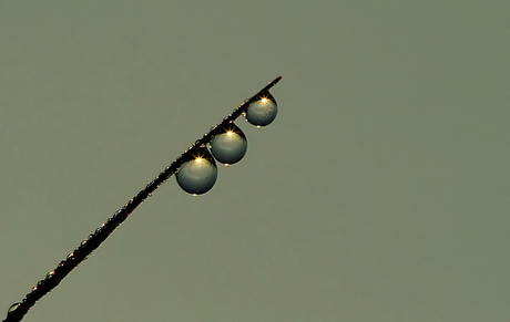 Drie zonnetjes...