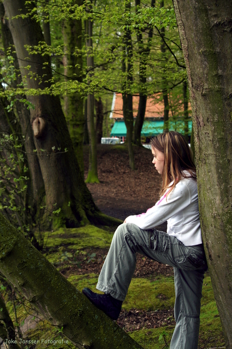 Dromend tussen de bomen