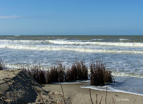 koksijde bad