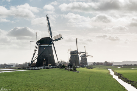 De drie molens in de polder