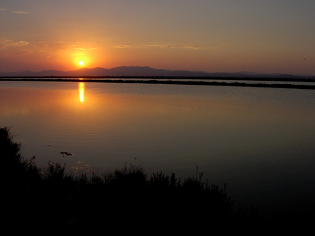 mooie natuur