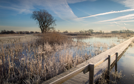 Winterlandschap