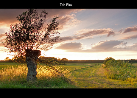 Brabants Landschap