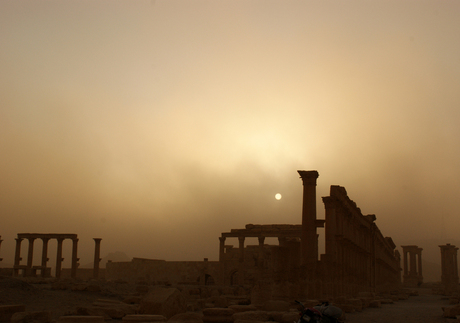 Zandstorm Palmyra