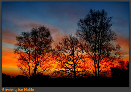 Strabregtse Heide