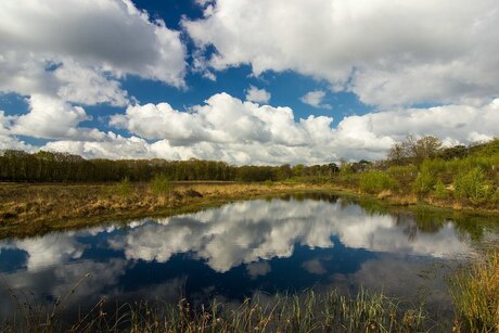 Wolken spiegeling