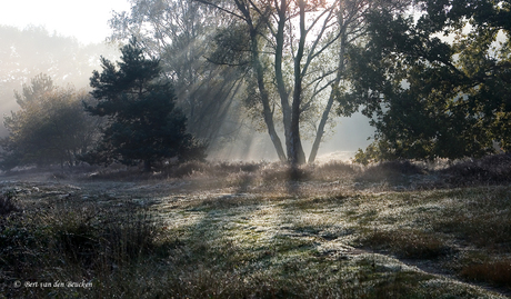 Eerste zonnestralen