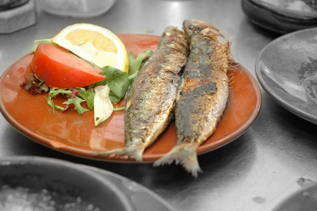 tapas, sardinas y salata.jpg