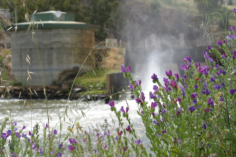 Burrendong dam