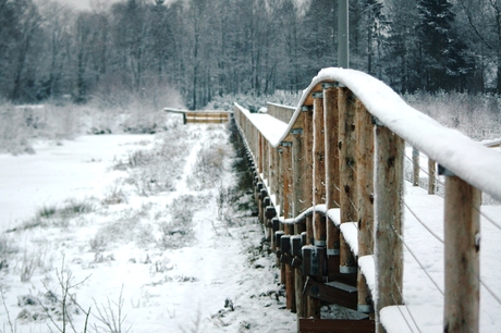 winter 2010