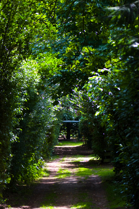 De paden op, de lanen in