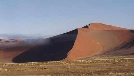 Foggy desert