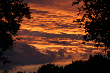 Nederland is zoooooo mooi (4)