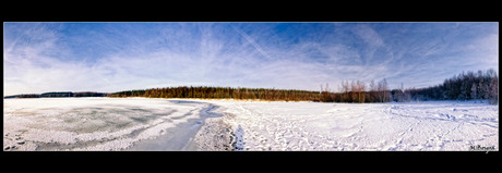 Winter panorama