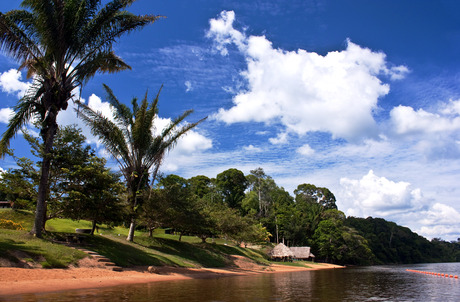 Suriname, Babunhol