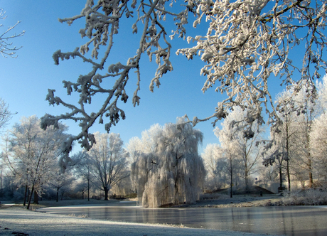 park Sterrenburg