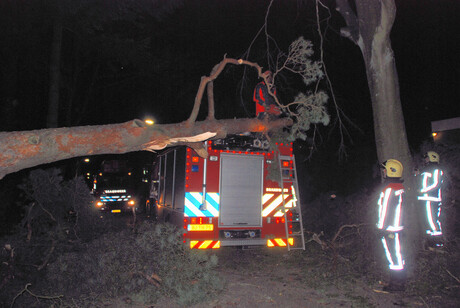 Storm op de Veluwe