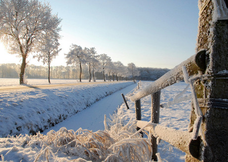 wintermorgen..