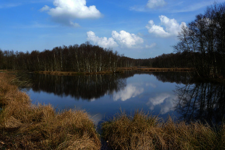 Engbertsdijkvenen