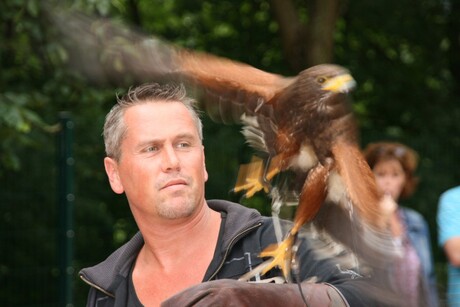 Roofvogel show Leiwen Duitsland